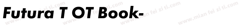 Futura T OT Book字体转换